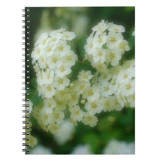 Vild Vit Rambling Ro Flower Natur Anteckningsbok Med Spiral (Framsidan)