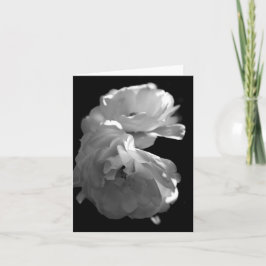 Vild Vit ros Sympathy Blank Note Card Tack Kort