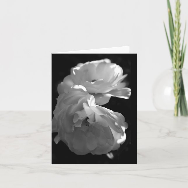 Vild Vit ros Sympathy Blank Note Card Tack Kort (Framsida)