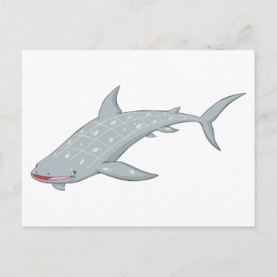 Vild Whale Shark Vykort