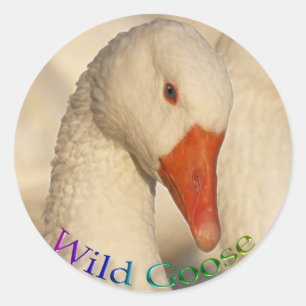 Vild White Goose Bird Wildlife Sticker Runt Klistermärke