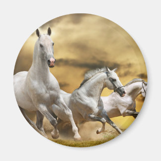 Vild White Horses Magnet