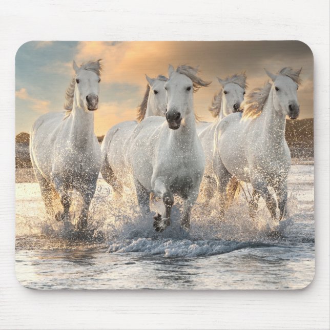 Vild White Horses Musmatta (Framsidan)
