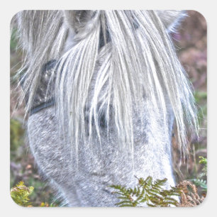 Vild White New Forest Pony Grazing on Bracken Fyrkantigt Klistermärke