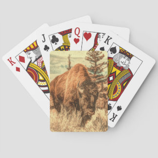 Vild Woodland Bison Casinokort