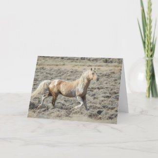 Vild Wyoming Stallion, Koda på ett tomt kort