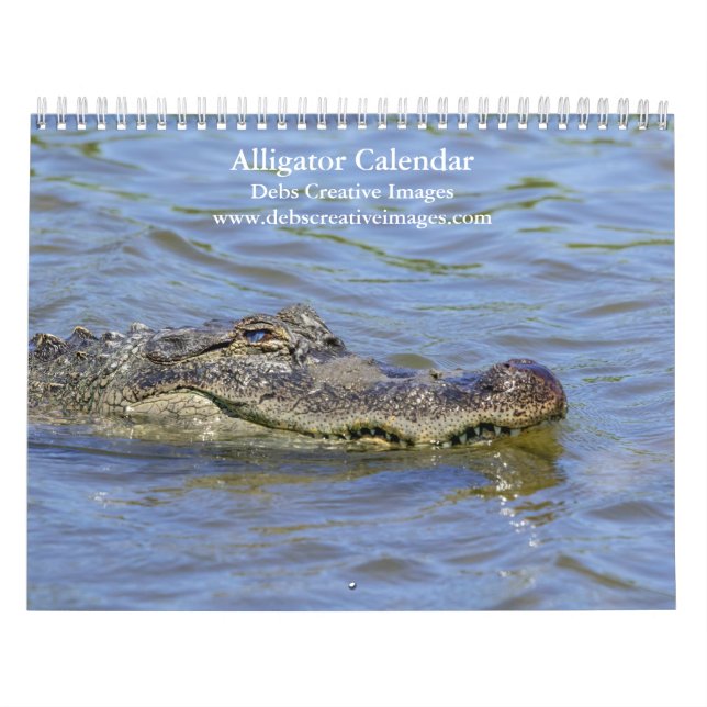 Vilda Alligatorer i Florida 2026 Kalender (Omslag)