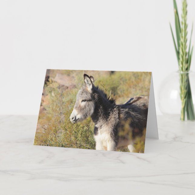 Vilda åsnahälsning kort (Framsida)
