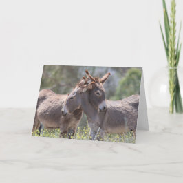 Vilda åsnor hälsar kort