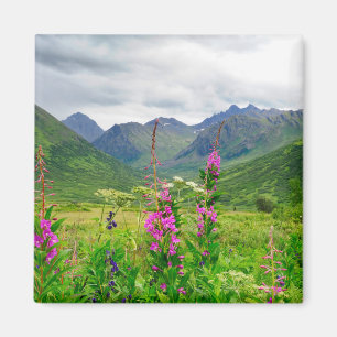 Vilda blommor Alaskadal Magnet