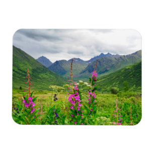 Vilda blommor Alaskan dal Magnet
