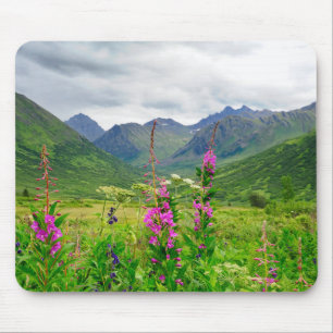 Vilda blommor Alaskan dal Musmatta