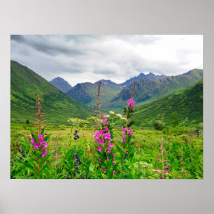 Vilda blommor Alaskan dal Poster