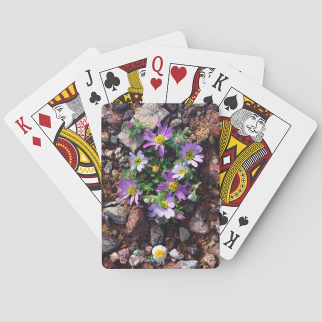 Vilda blommor casinokort (Baksidan)