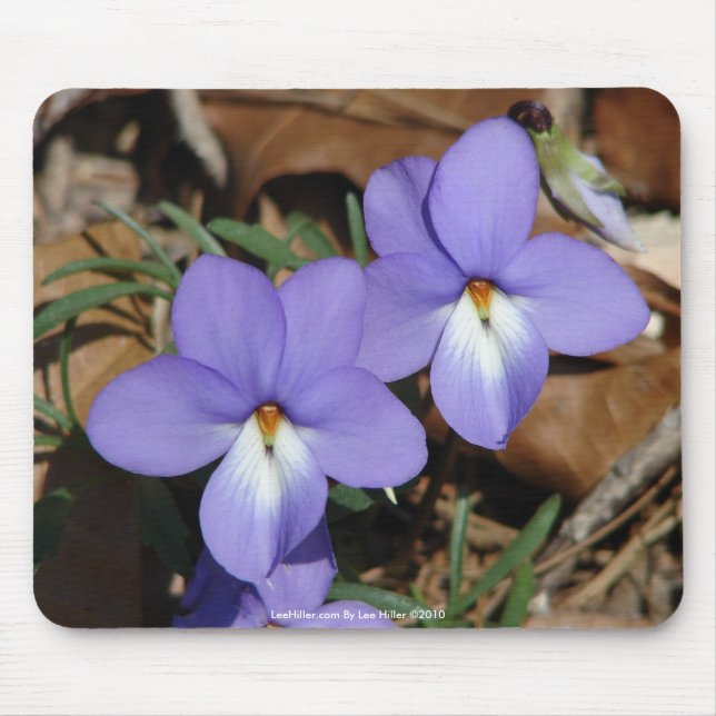 Vilda blommor Fågelfotsviol III presenter & kläder Musmatta (Framsidan)