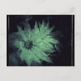 Vilda blommor Grunge Vykort