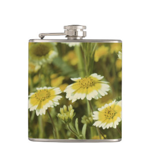 Vilda blommor gula och vita solrosor fickplunta