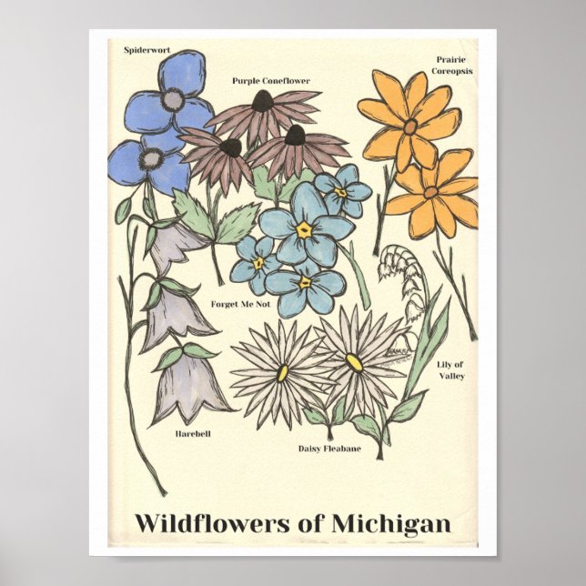Vilda blommor i Michigan Handritad konsttryck Poster (Framsidan)