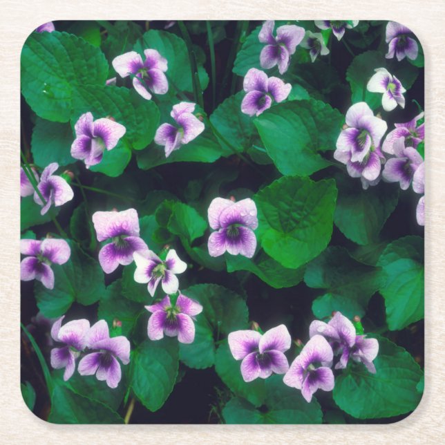 Vilda blommor i skogen underlägg papper kvadrat (Framsidan)