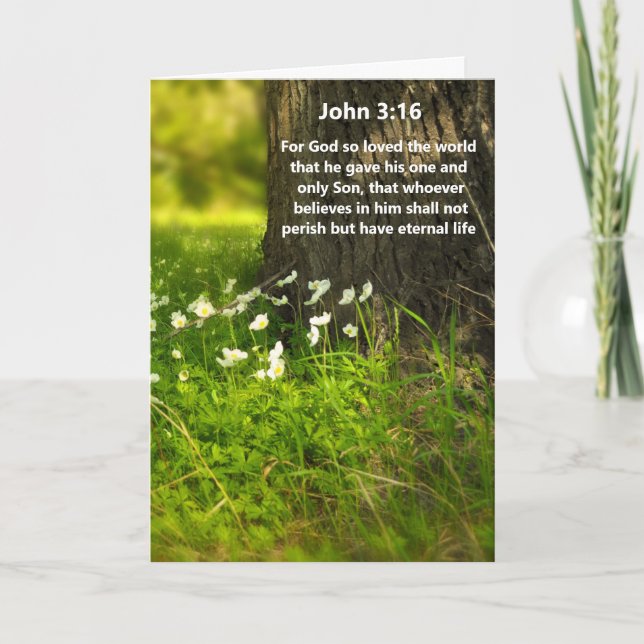 Vilda blommor John 3:16 Bibelvers Grattiskort Kort (Framsida)