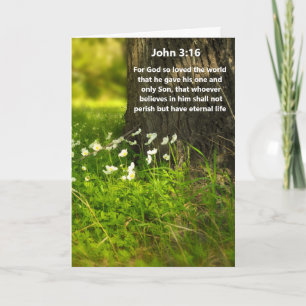 Vilda blommor John 3:16 Bibelvers Grattiskort Kort