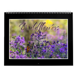 Vilda blommor Kalender Av Thomas Minutolo
