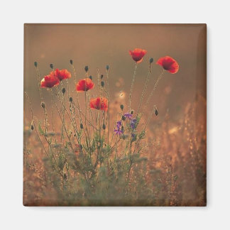 vilda blommor magnet