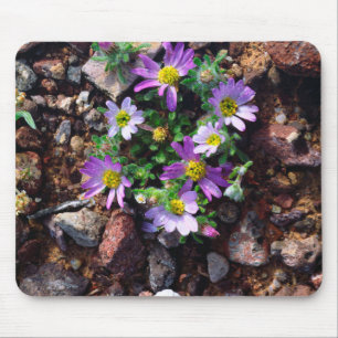 Vilda blommor musmatta