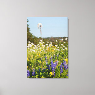 Vilda blommor och väderkvarn i Texas Hill Country Canvastryck