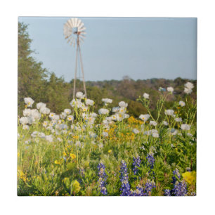Vilda blommor och väderkvarn i Texas Hill Country Kakelplatta