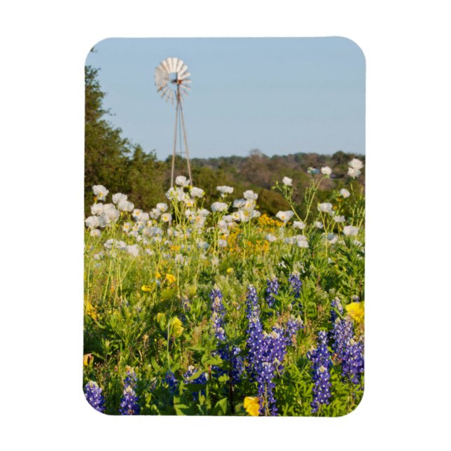 Vilda blommor och väderkvarn i Texas Hill Country Magnet (Vertikal)