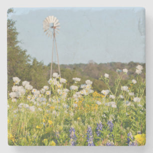 Vilda blommor och väderkvarn i Texas Hill Country Underlägg Sten