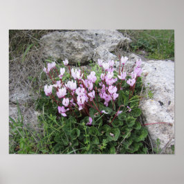 Vilda blommor poster