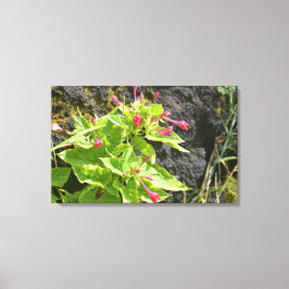 Vilda blommor som växer på stelnad lava canvastryck