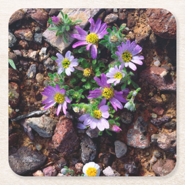 Vilda blommor underlägg papper kvadrat (Framsidan)