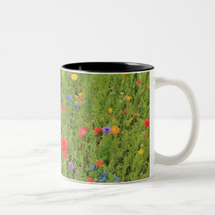 Vilda blommor Vår Foto Tvåtons Mugg