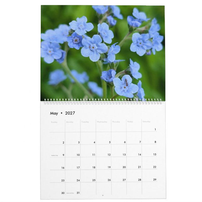 Vilda Blommors Under – Ett År av Naturlig Skönhet Kalender (May 2027)