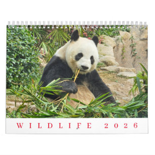 Vilda djur 2026 kalender