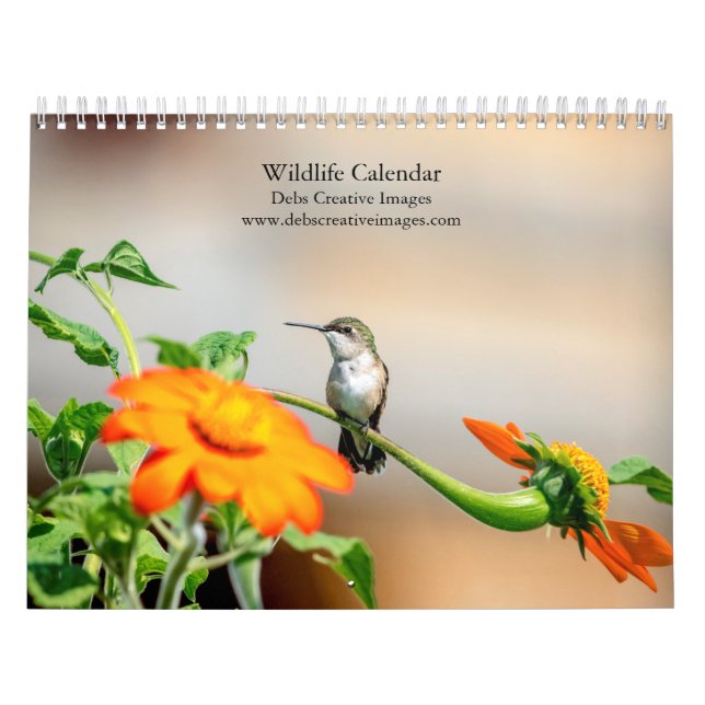 Vilda djur 2026 kalender (Omslag)