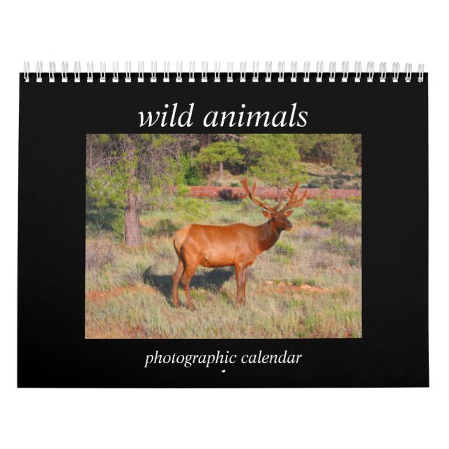 vilda djur 2027 kalender (Omslag)