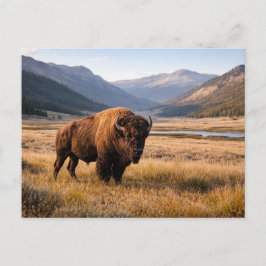 Vilda djur Amerikansk Bison Bergslandskap Vykort