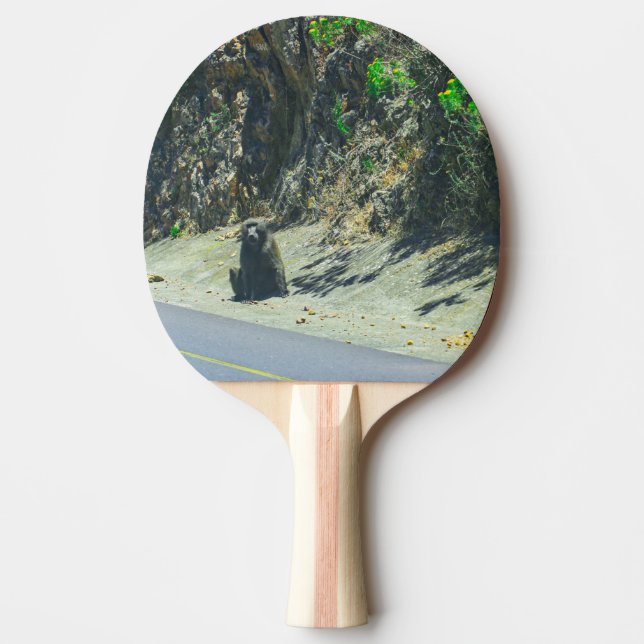 Vilda djur Babian Djur Pingisracket (Framsidan)