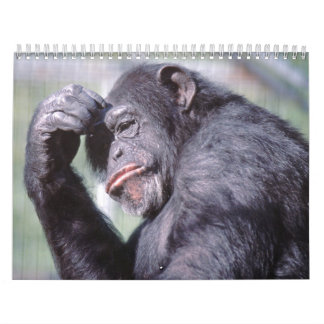 Vilda djur calendar 2012 kalender