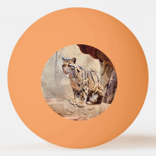 vilda djur exotiskt i bild pingisboll (Framsidan)