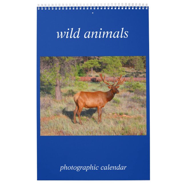 vilda djur foto kalender (Omslag)