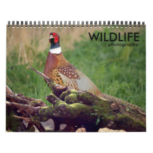Vilda djur Fotokalender Kalender