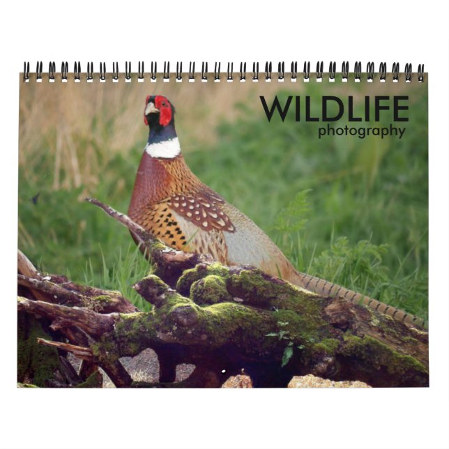 Vilda djur Fotokalender Kalender (Omslag)
