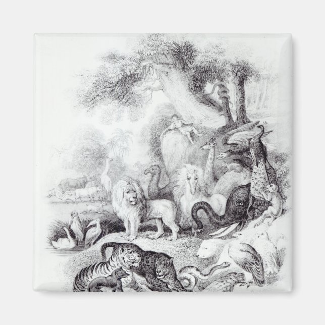 Vilda djur från "Jordens historia" Magnet (Framsidan)