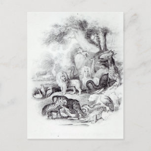 Vilda djur från "Jordens historia" Vykort