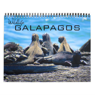 vilda djur galapagos 2027 kalender